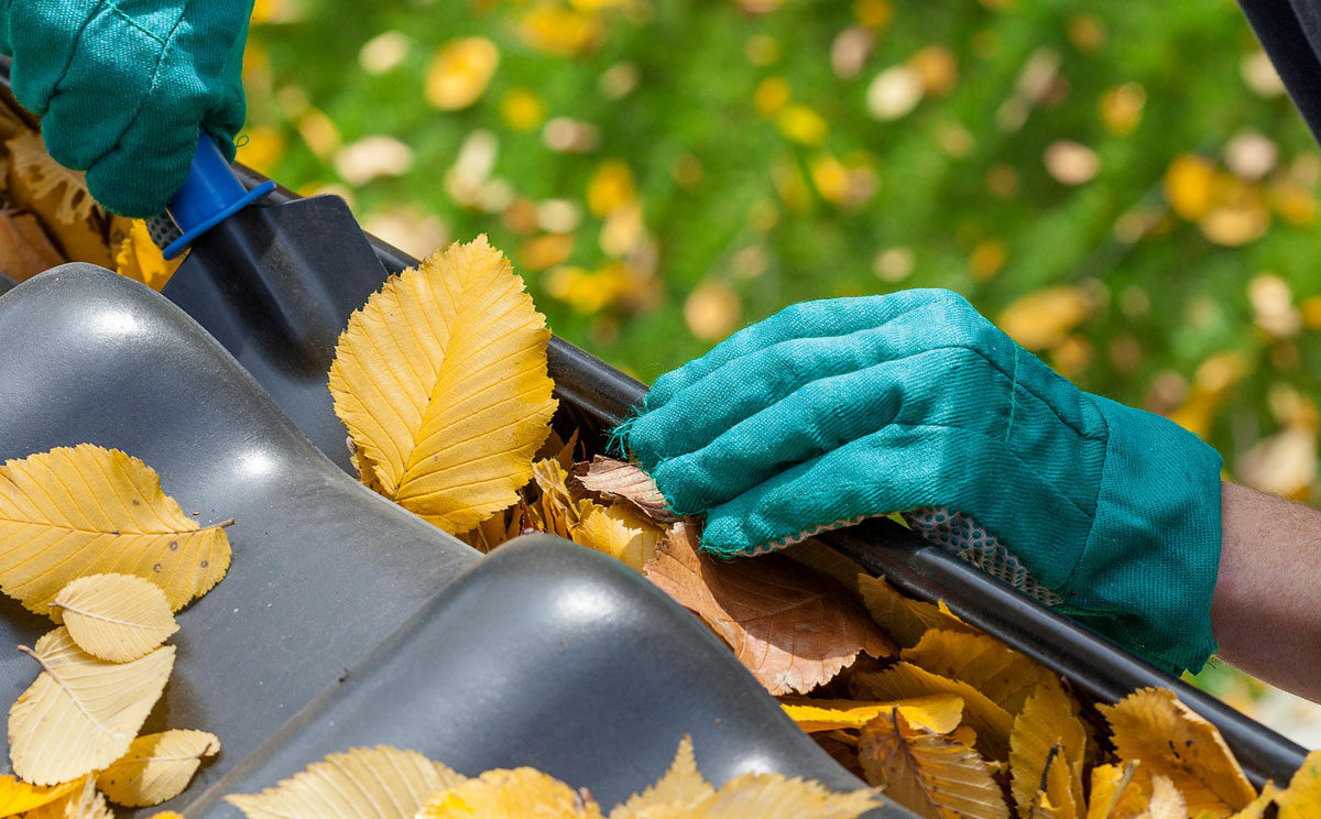 ¿Cómo limpiar tu jardín?