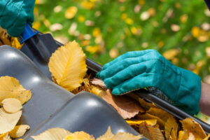 ¿Cómo limpiar tu jardín?