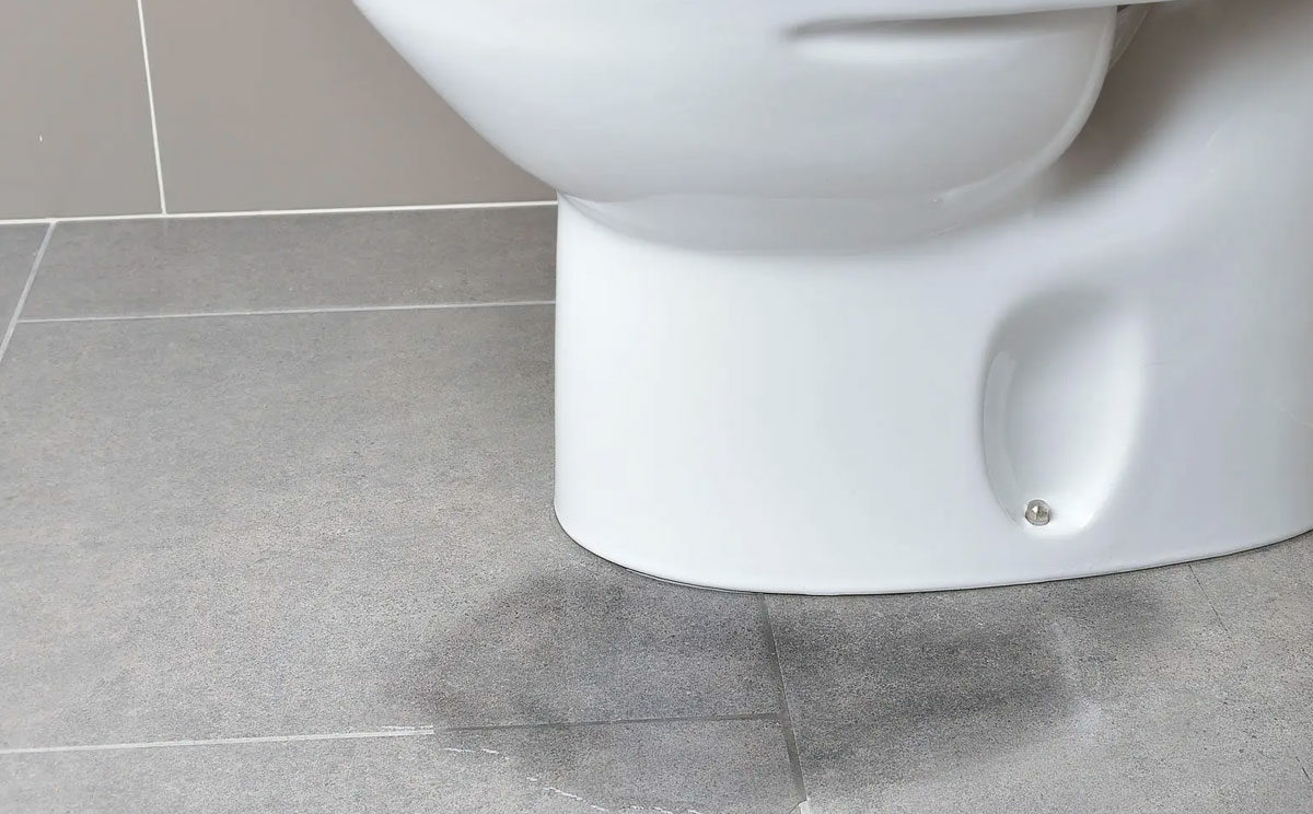 ¿Cómo eliminar las manchas de moho de las paredes?