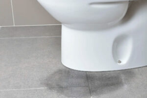 ¿Cómo eliminar las manchas de moho de las paredes?