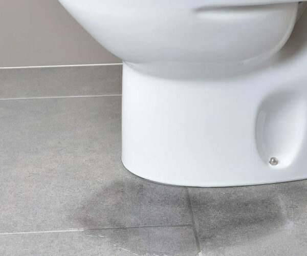¿Cómo eliminar las manchas de moho de las paredes?