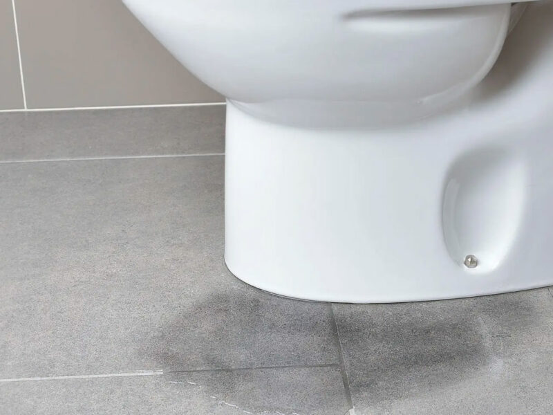 ¿Cómo eliminar las manchas de moho de las paredes?