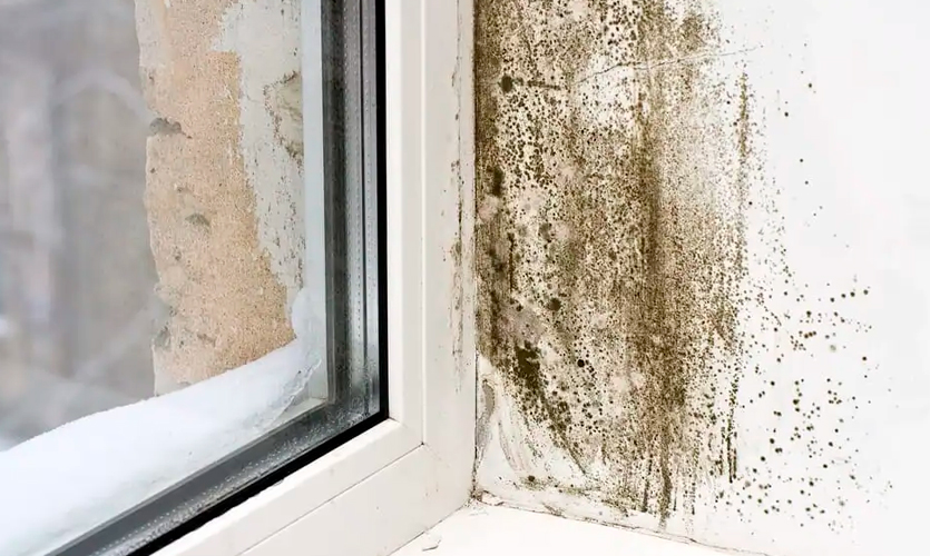 Elimina la humedad de las paredes gracias a estos consej