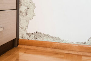 ¿Cómo eliminar la humedad de tus paredes?