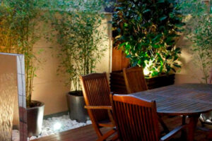 Los mejores consejos de jardinería