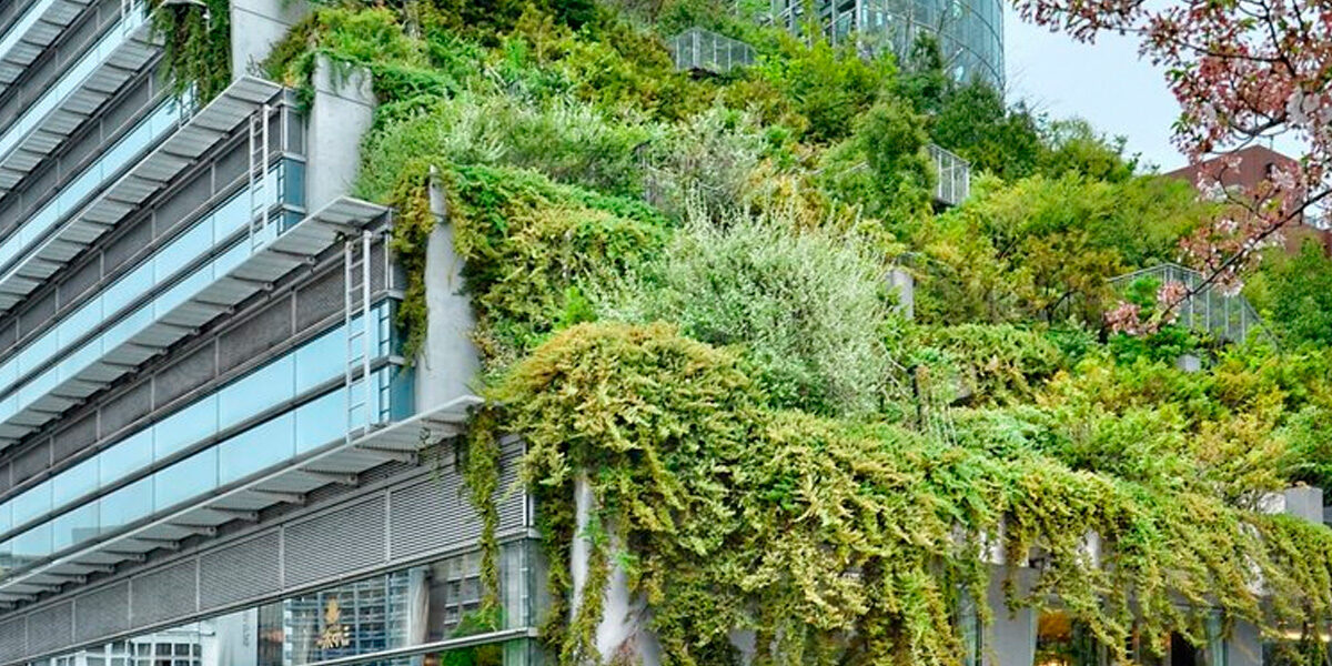 La ecología en el entorno urbano