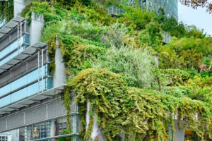 La ecología en el entorno urbano