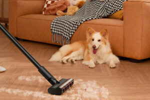 10 claves para mantener una casa impecable con niños y mascotas