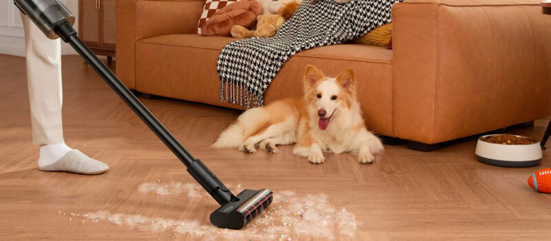 10 claves para mantener una casa impecable con niños y mascotas