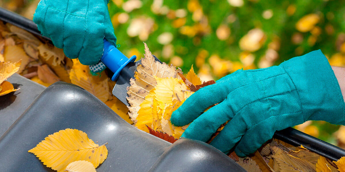 Reparación y limpieza de canalones: mantén tu hogar en perfectas condiciones