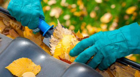 Reparación y limpieza de canalones: mantén tu hogar en perfectas condiciones