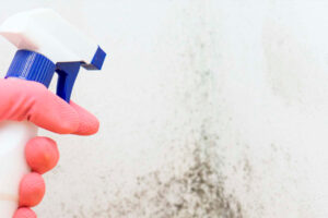 Cómo limpiar correctamente las paredes afectadas por humedad